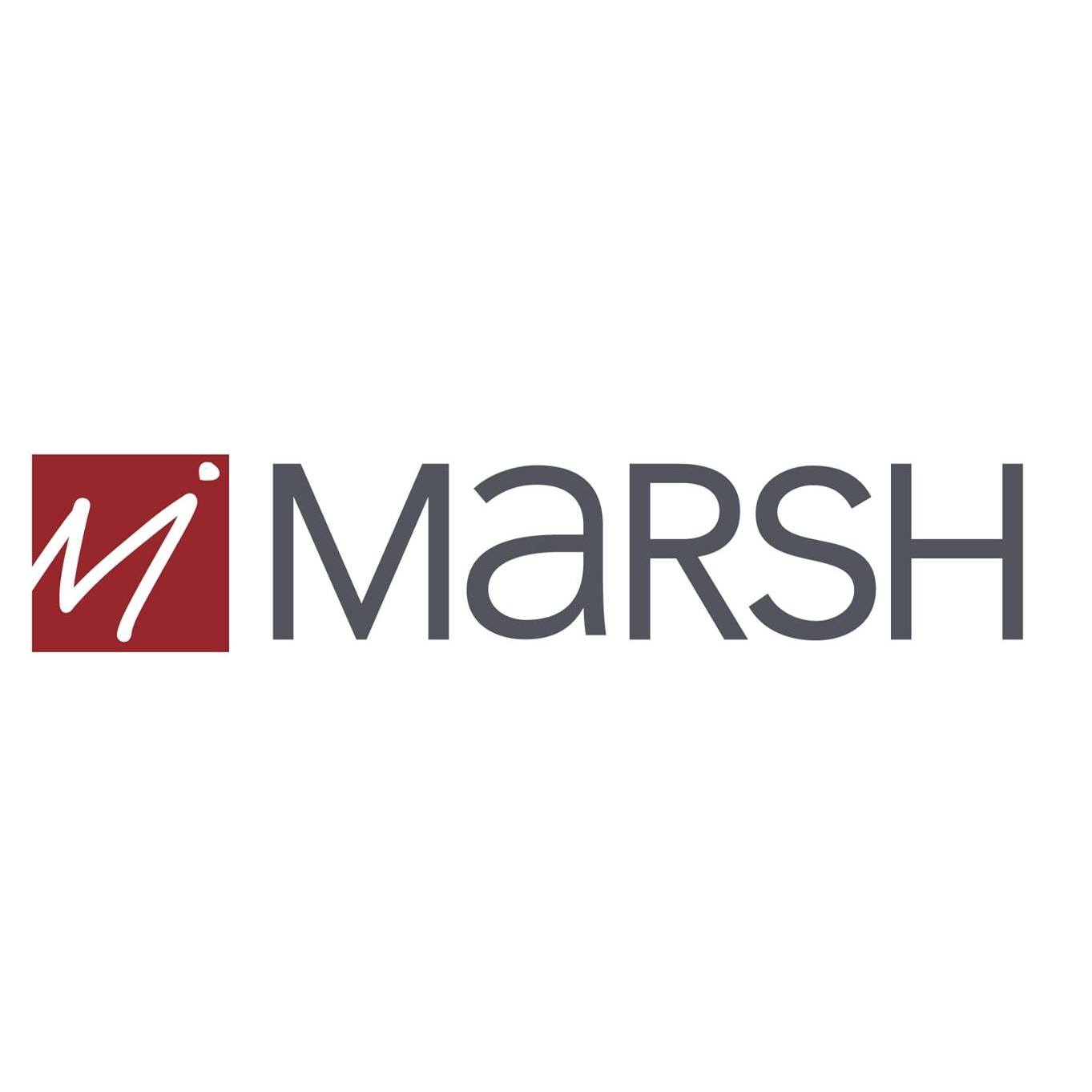 marsh-Industries-polyvison-logo