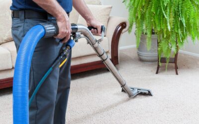 How Professional Carpet Cleaning Benefits Your Home