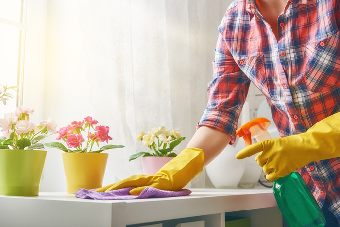 Spring Cleaning Checklist: Harness the Power of Shoup’s Cleaning for a Fresh Start